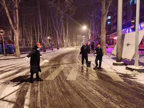 雪天里，洛陽公交人抗擊疫情的最美風景 